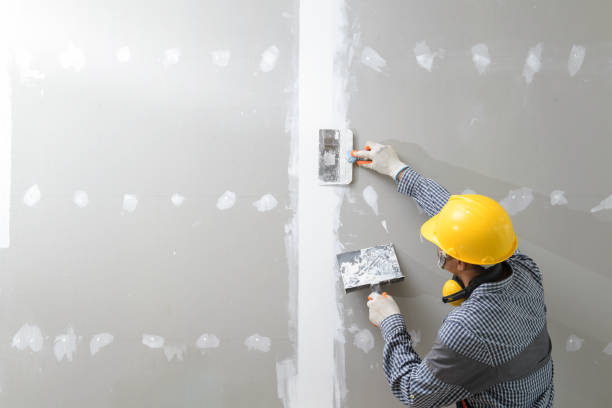 Best Drywall Removal and Disposal  in USA